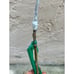 Very Rare Dwarf #8 Grafted Loquat Fruit Tree