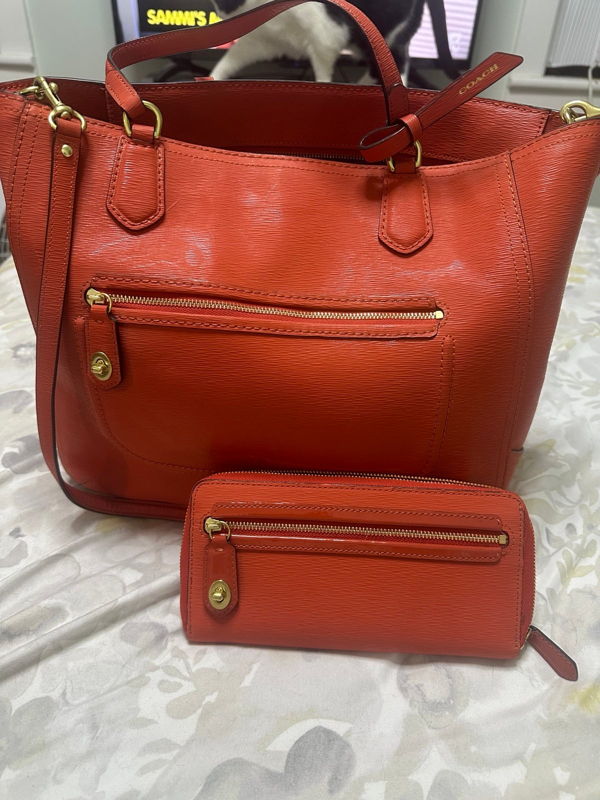 Bag and wallet combo