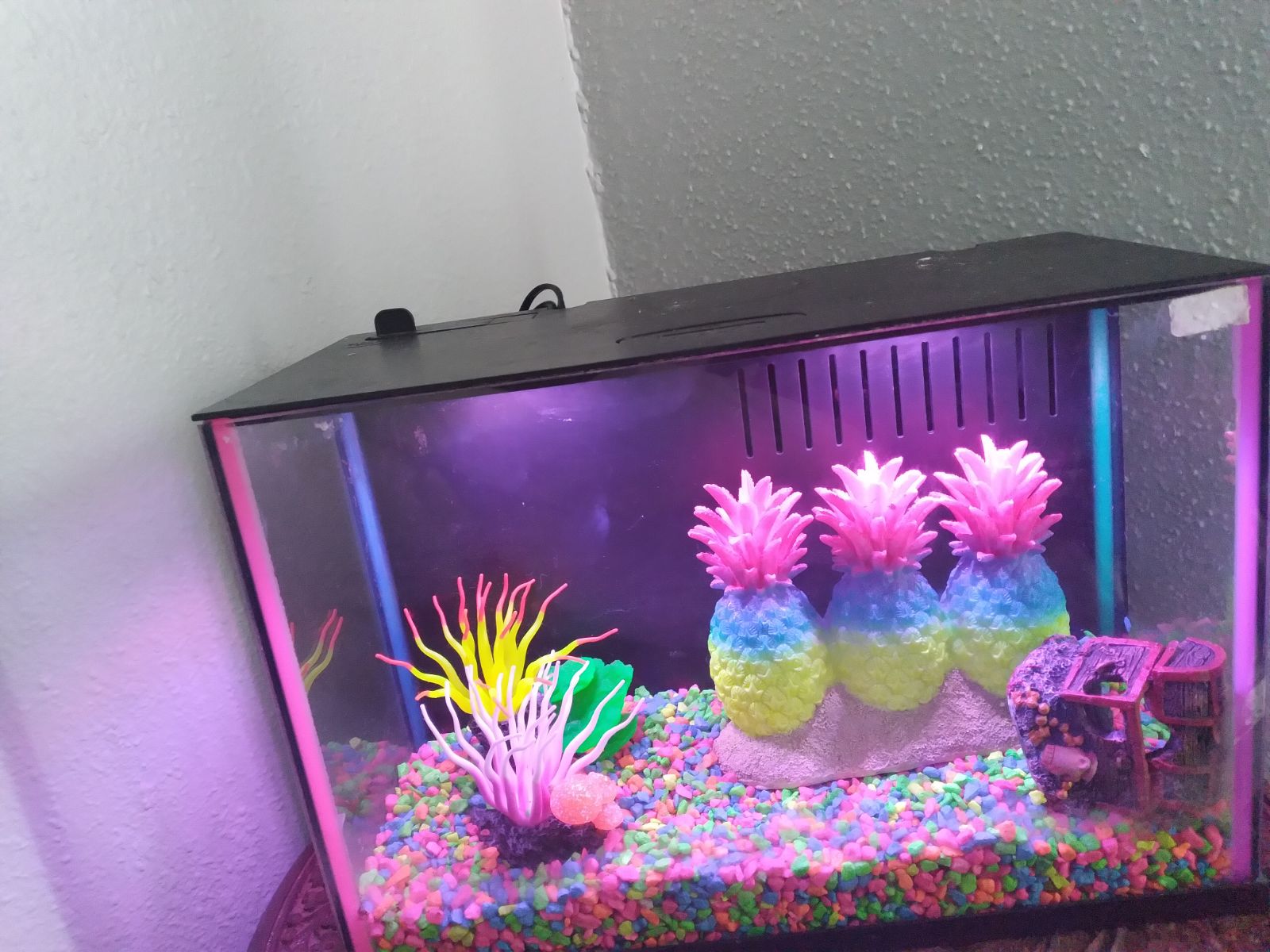 NEON LIGHTS AQUARIUM