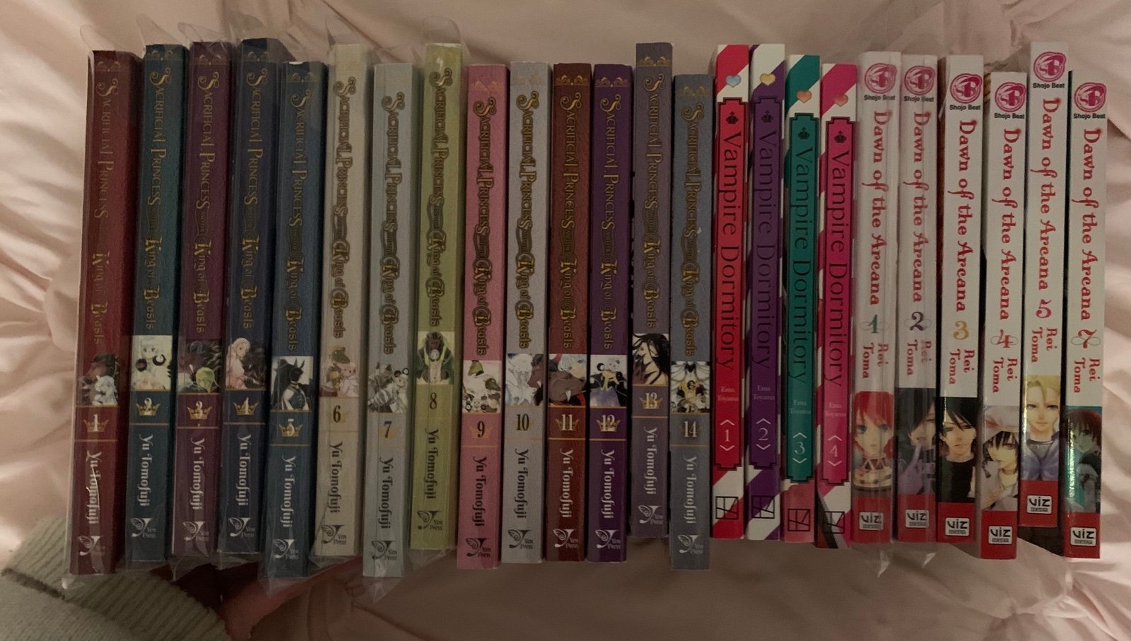 Assorted Shoujo Manga Bundle
