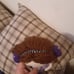 Amigurumi Crochet Doll