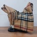 Cashmink By V. Fraas Beige Plaid Scarf Unisex