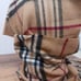 Cashmink By V. Fraas Beige Plaid Scarf Unisex
