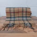 Cashmink By V. Fraas Beige Plaid Scarf Unisex