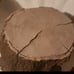 Vintage Stereo Tree Stump Speaker