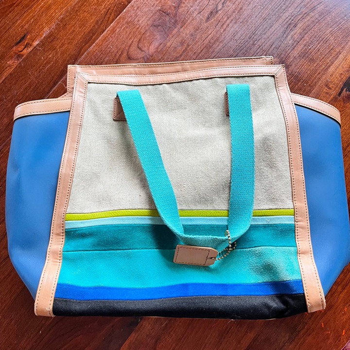 Fossil Audri Beach Tote Bag Blue/Beige/Brown Color Block
