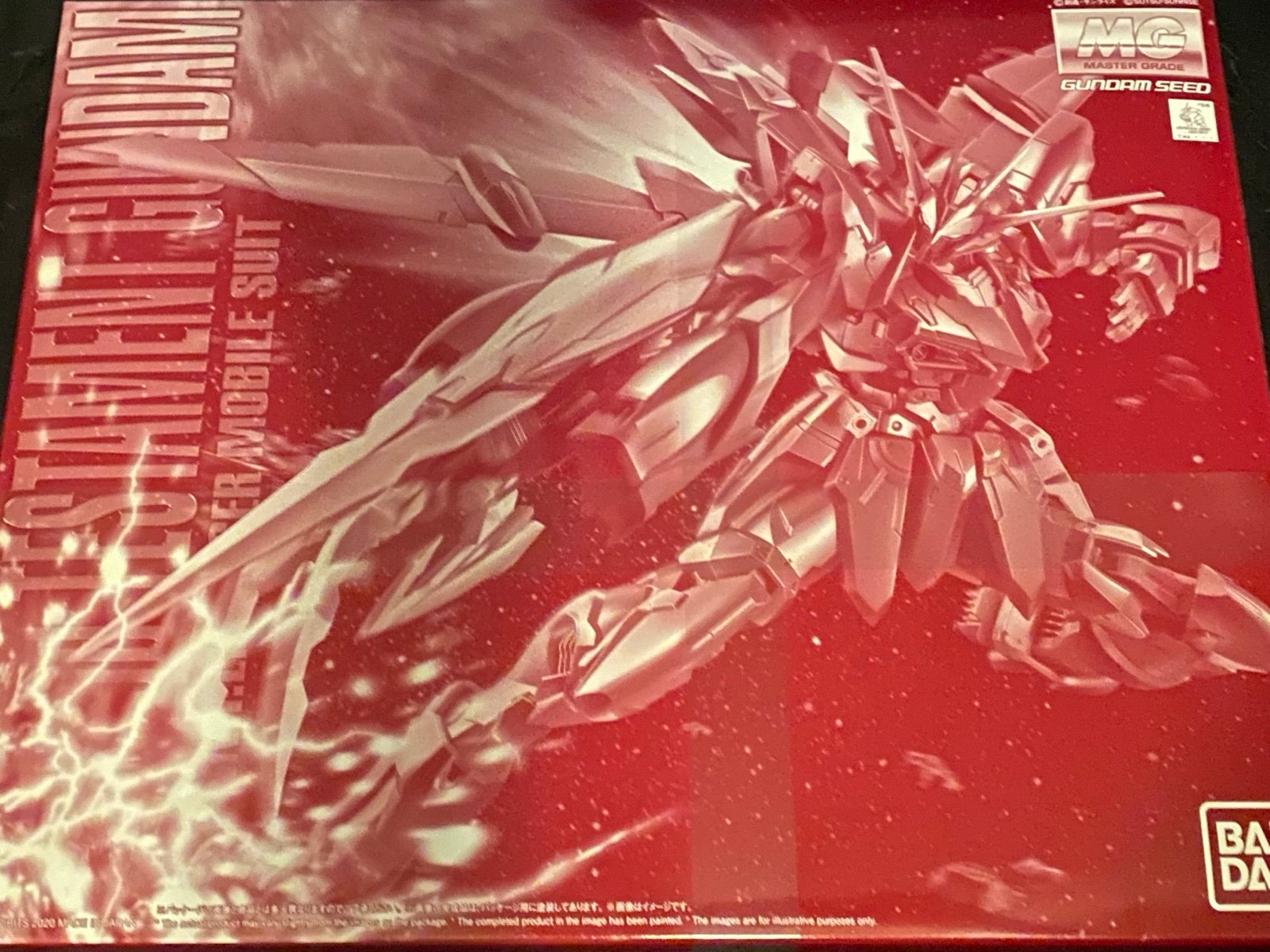 MG Master Grade Testament Gundam MG Gundam Seed Model Kit