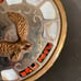 Vtg Johnson Held Flying Eagle Abalone Coral Inlay Handcrafted Western Buckle