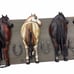 Horse Wood Wall Decor With Hooks To Hang Coats New Horseshoe New