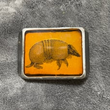 Armadillo resin belt buckle