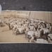 Photo 1940s company get together