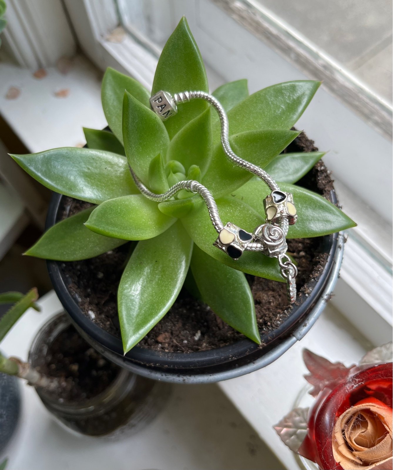 Pandora Bracelet Plus Charms!