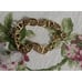 Oma The Label The Abuja Bracelet New with Felted Pouch NEW 99