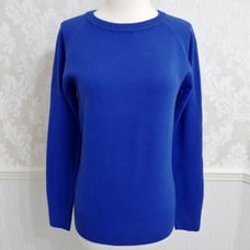 Blue French Connection Crewneck Long Sleeve Pullover Knit Sweater (NWT)