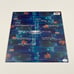 MODEST MOUSE ISAAC BROCK SIGNED EVERYBODY HIS NASTY PARLOUR VINYL RECORD JSA COA