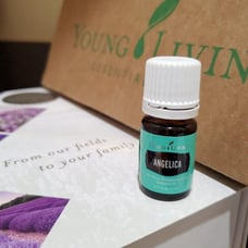 Young Living Essential Oils Angelica