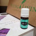 Young Living Essential Oils Angelica