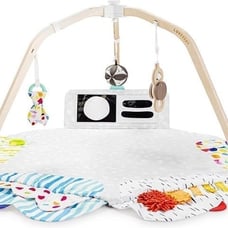 The Play Gym by Lovevery | Stage-Based Developmental Activity Gym & Play Mat for