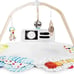 The Play Gym by Lovevery | Stage-Based Developmental Activity Gym & Play Mat for