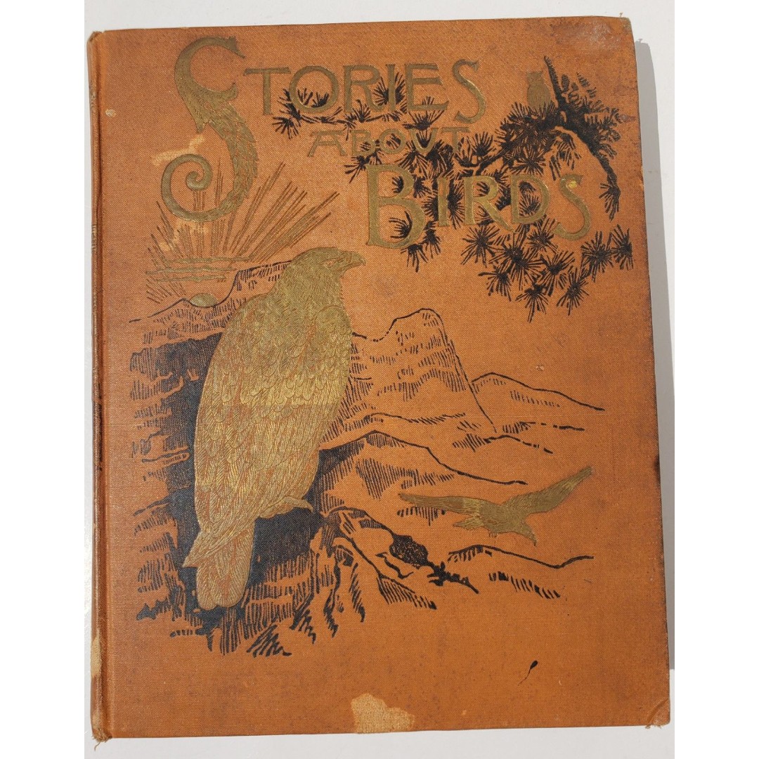 Antique Stories About Birds Of Land And Water w/Illustrations By M & E Kirby HC