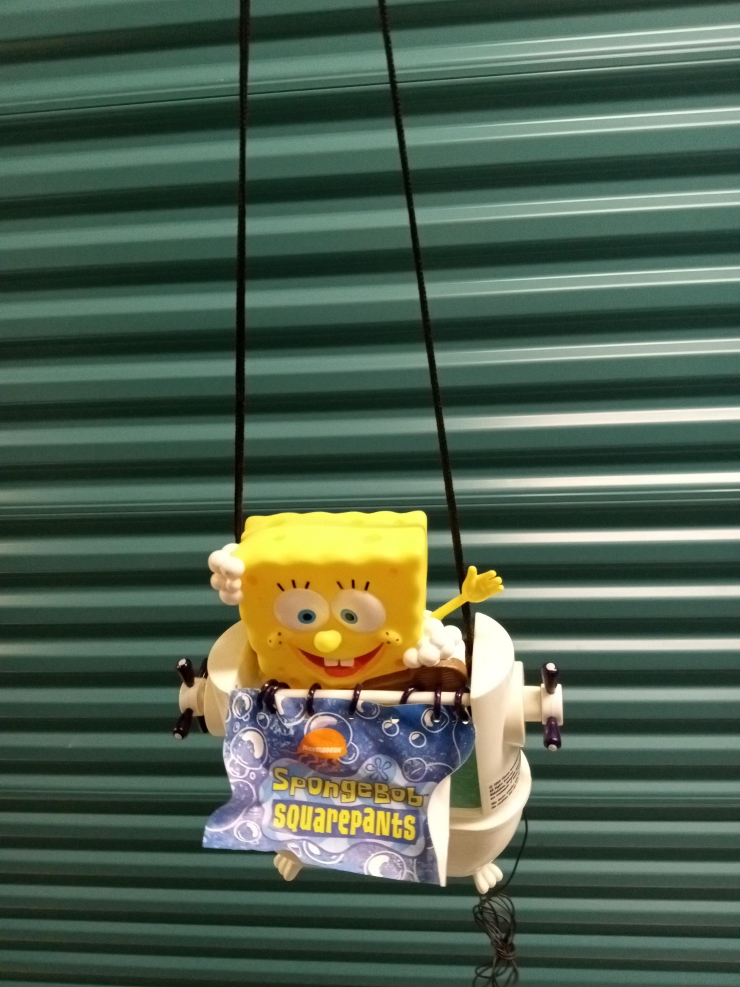 Shower radio