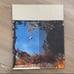 LOEWE Serial Numbered Art Book Paula's House