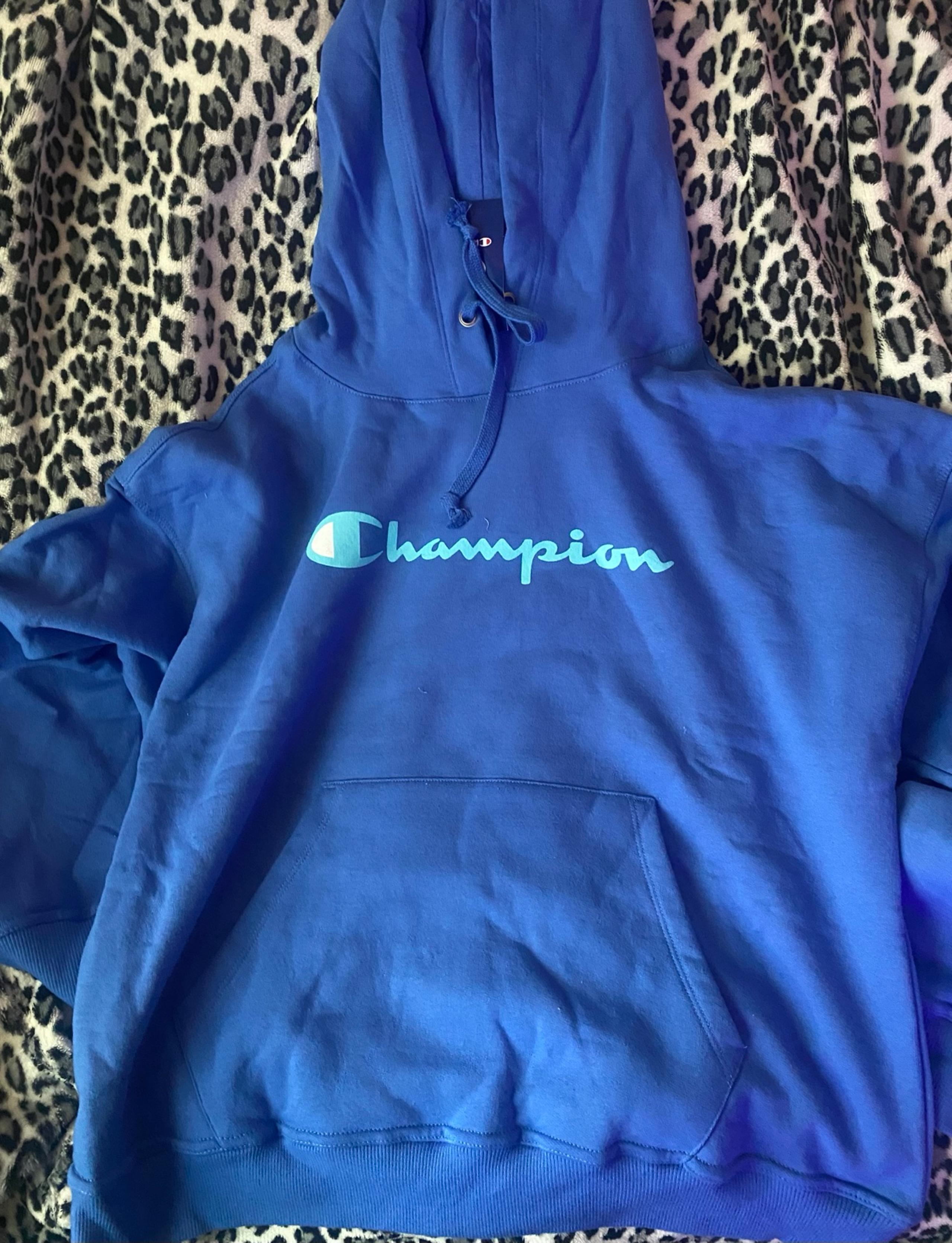 Champion Blue Hoodie