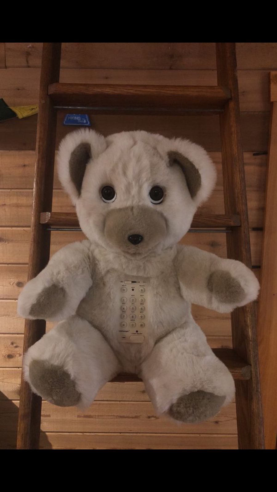 Bear Telephone