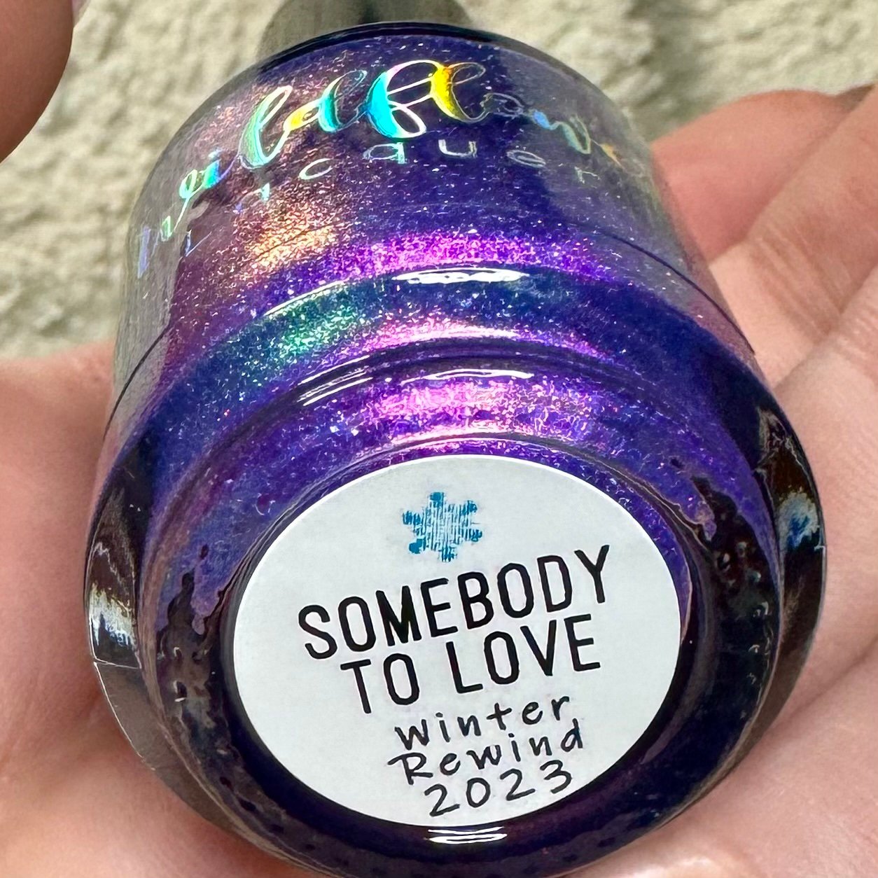 WFL Somebody to Love