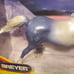 Breyer Horse 1146 Stardust Pearl Blue Unicorn Running Stallion Retired
