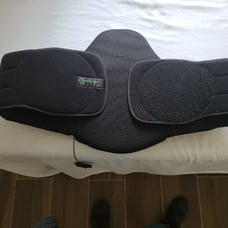 Evergreen 631 Back Brace
