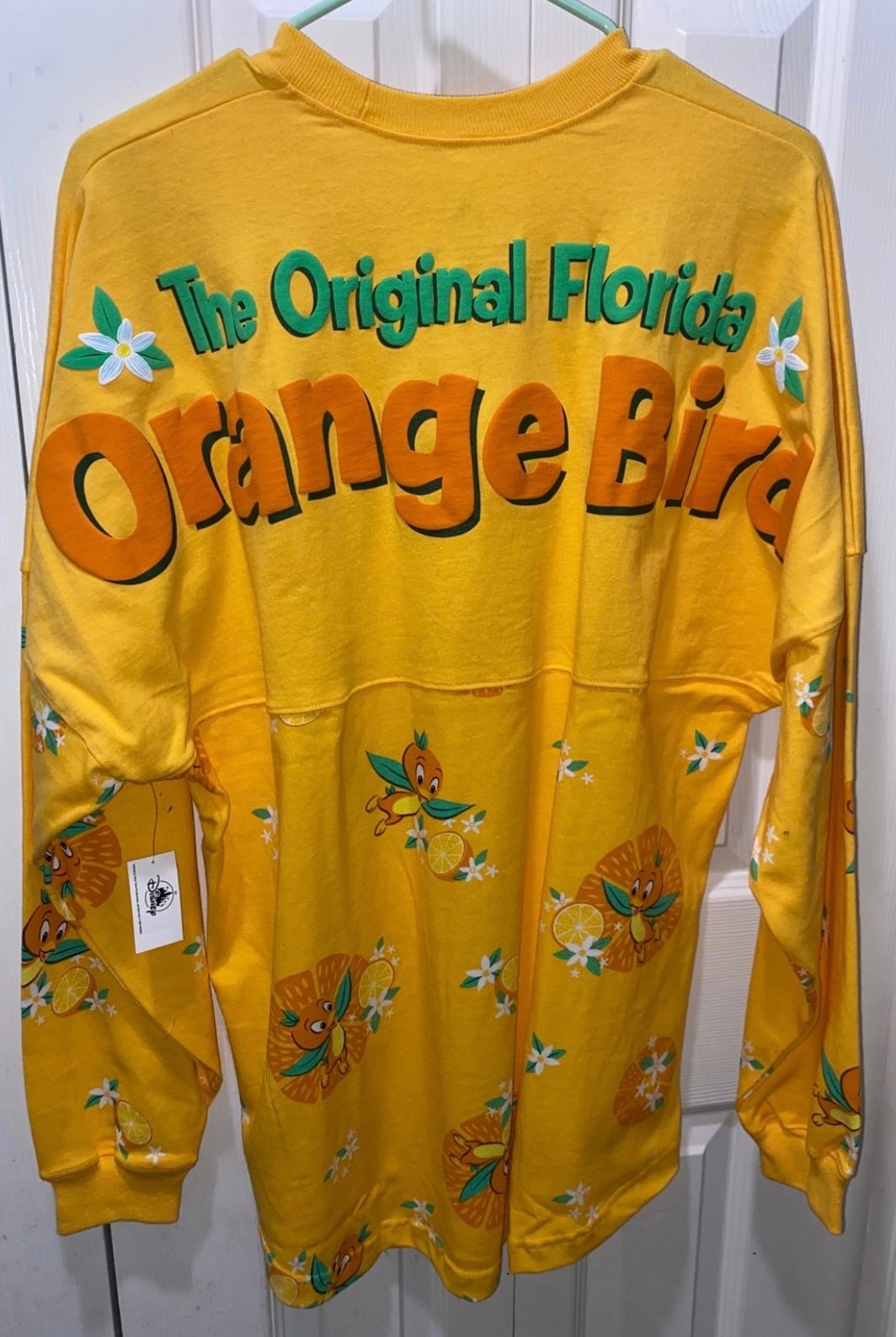 Disney Epcot sz M Orange Bird Spirit Jersey