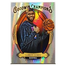 SILVER PRISM SP LEBRON JAMES GOODWIN '20