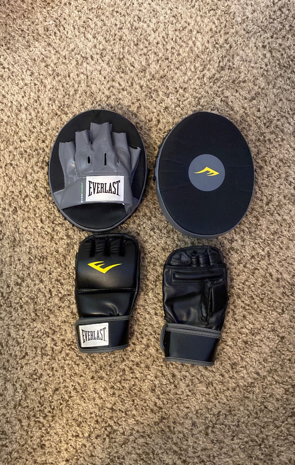 Everlast Synthetic Leather Kickboxing Gloves & Synthetic Polycanvas Punch Mitts
