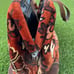 Lee Stemer Carpet Bag Vntg Original Purse, Tapestry Dr. Bag 1960S-70S Style USA