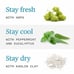 6x Ursa Major Hoppin' Fresh Deodorant Natural Aluminum-Free, Non-toxic Cruelty