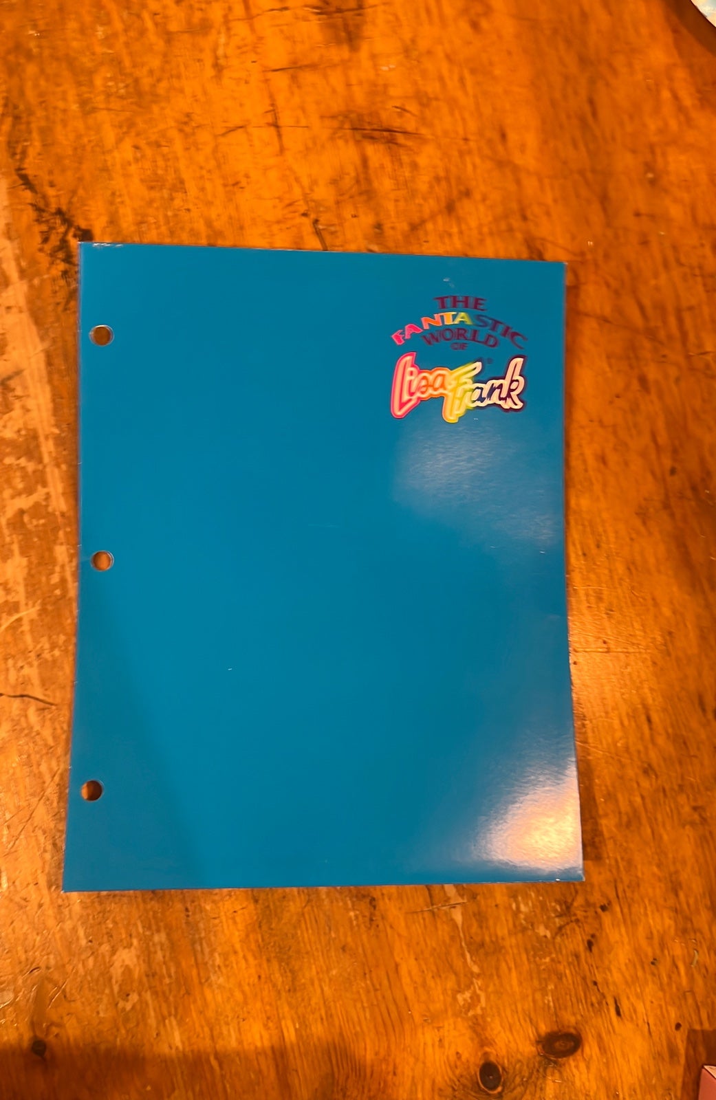 Vintage Lisa frank folder