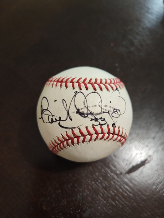 Benito Santiago Official Major League Baseball Hand Signed PSA