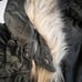 ABERCROMBIE & FITCH DOWN FILLED PARKA JACKET COAT OLIVE GREEN WOMENS SZ M