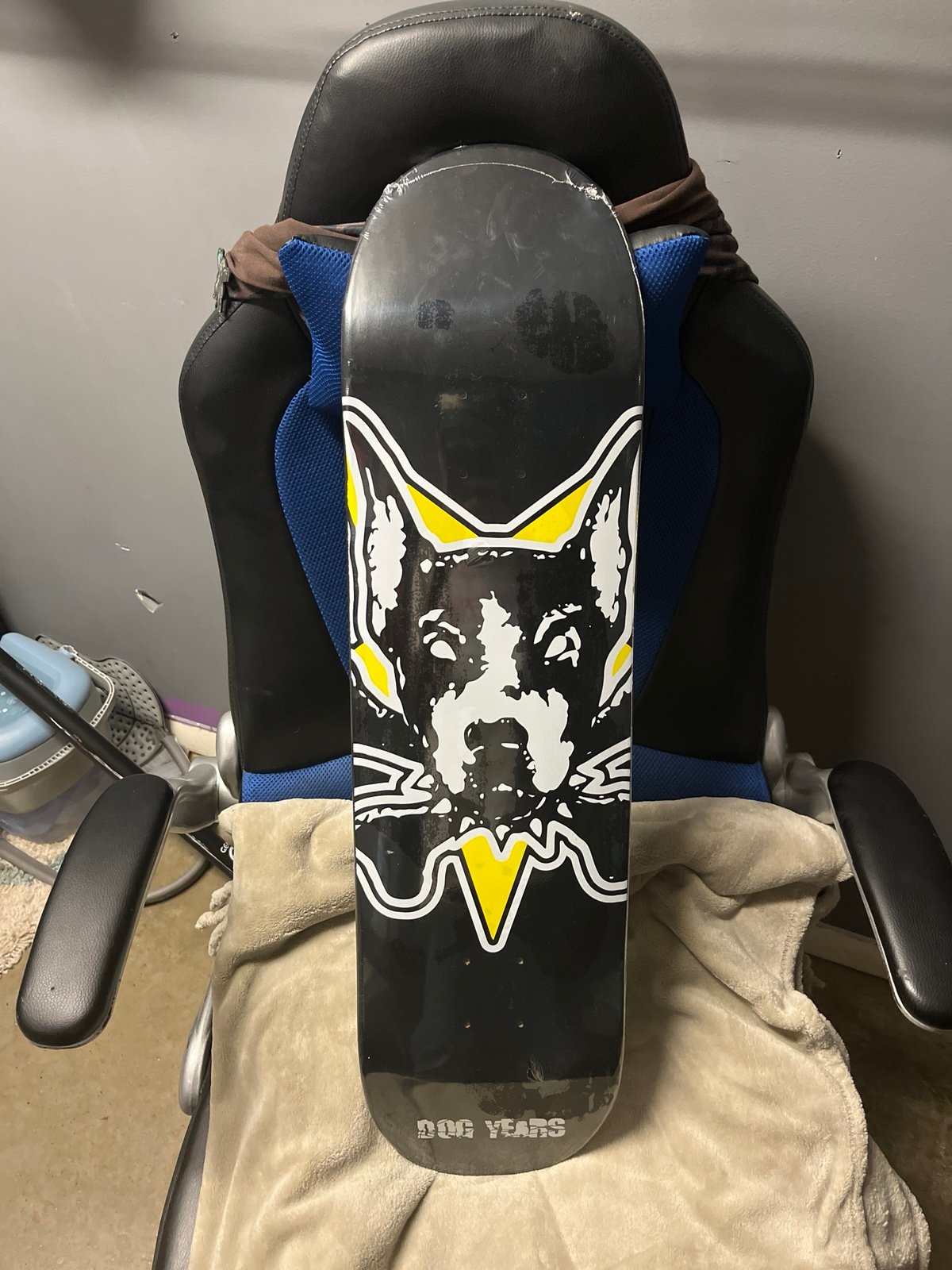 Skateboard dog years 8.25