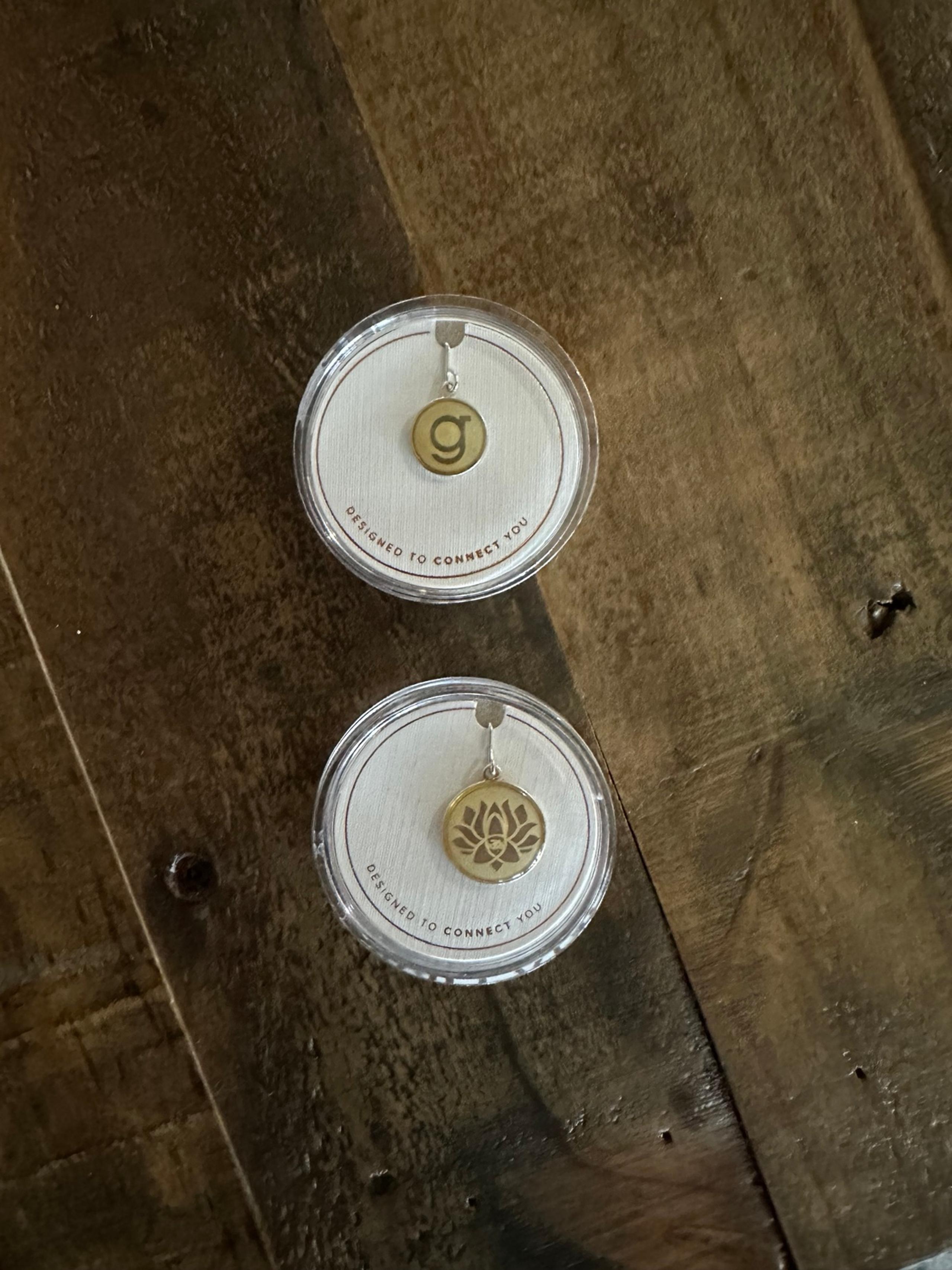 ALEX AND ANI charm and hook