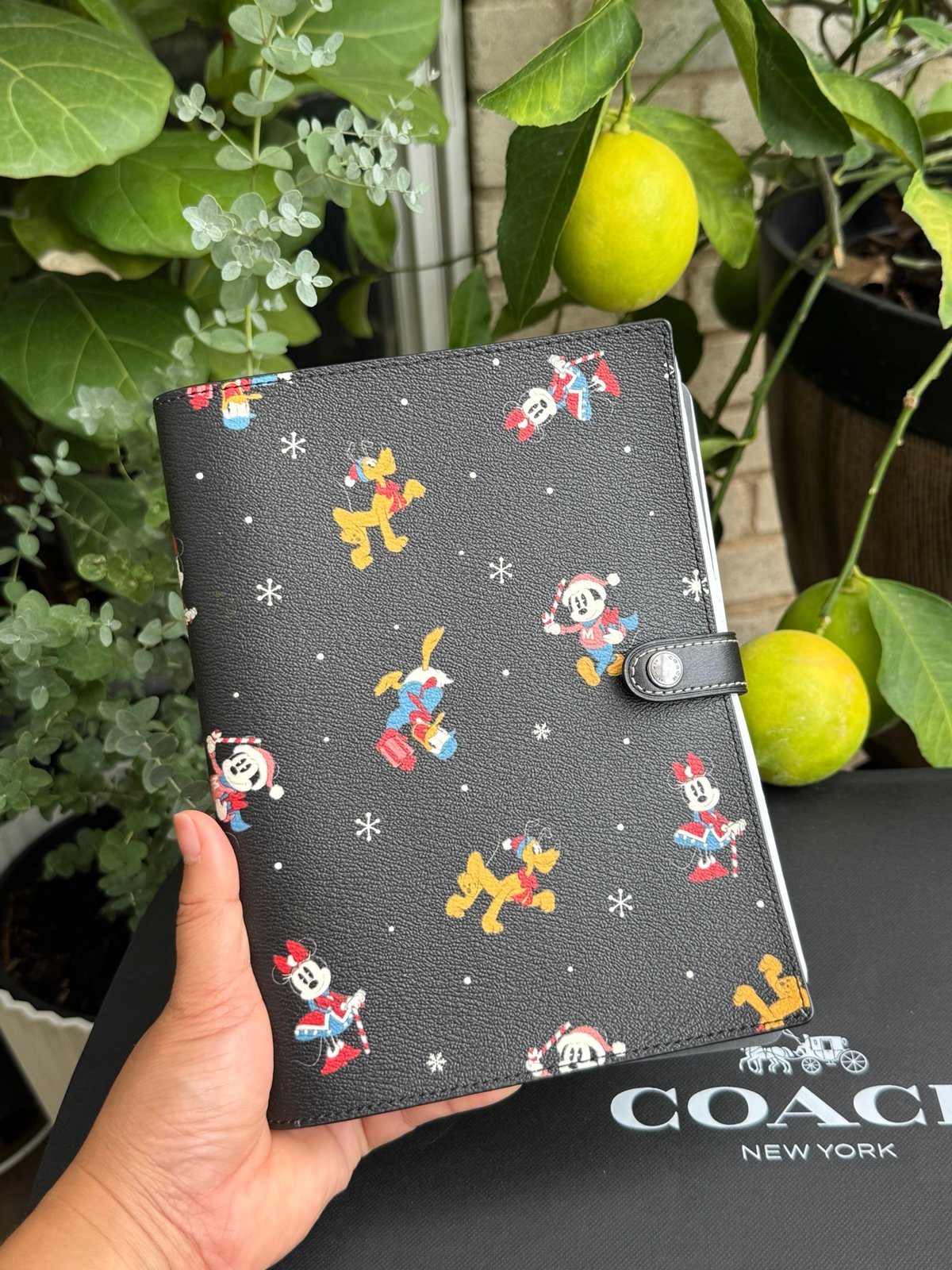 Coach Notebook Disney Print