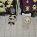 Disney NBX Jack Sally Zero & Oogie GITD Series 4 Magnet Blind Bag Combo Set
