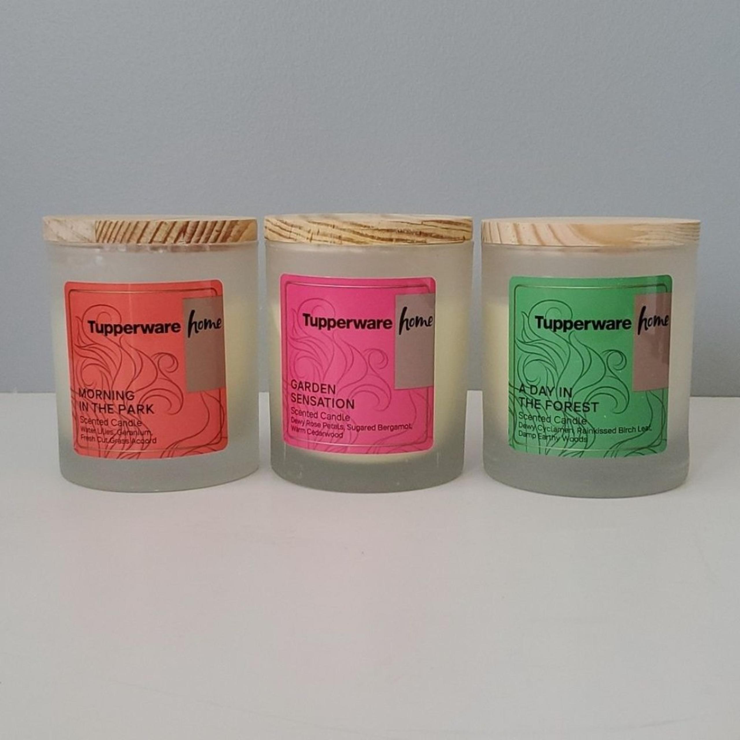 Tupperware Home 3 Wax Candles Garden Sensation Morning in Park Garden Sensation