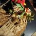 RAFFIA ROOSTER FARMHOUSE WALL DECOR 10 INCHES BNWT 1 LEFT!