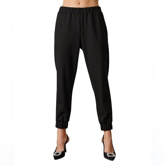 Velvet jogger pants by Graham & Spencer size 2X New