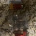 3d printer Endor 3 pro