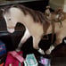 American girl Nicki horse Jackson
