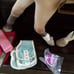 American girl Nicki horse Jackson