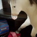 American girl Nicki horse Jackson